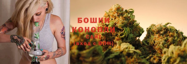 сатива Аркадак