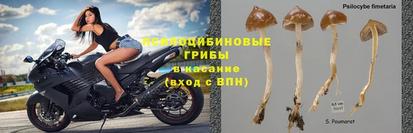 дурь Киселёвск