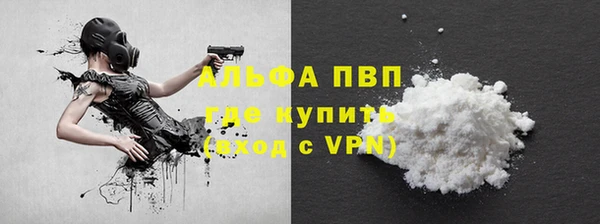сатива Аркадак