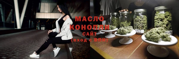сатива Аркадак