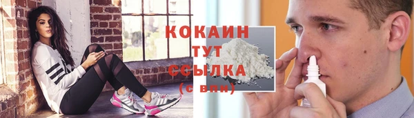 мяу мяу мука Арсеньев