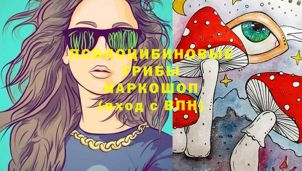 мяу мяу мука Арсеньев
