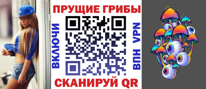 Псилоцибиновые грибы ЛСД  Новая Ладога 