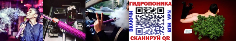 Марихуана сатива MEGA ТОР Новая Ладога